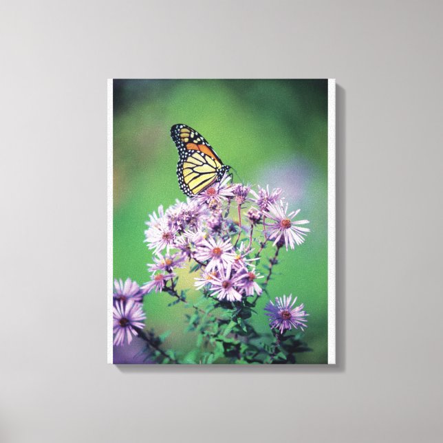 Monarch Butterfly Canvastryck (Framsida)