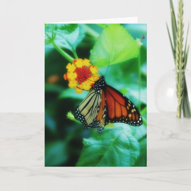 Monarch Butterfly Card Kort (Framsida)