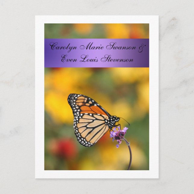Monarch Butterfly Card Vykort (Framsida)