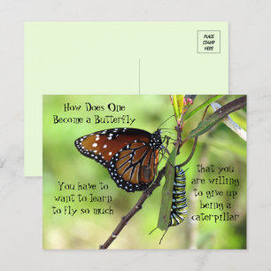 Monarch Butterfly & Catercolumn Quote Postcard Vykort