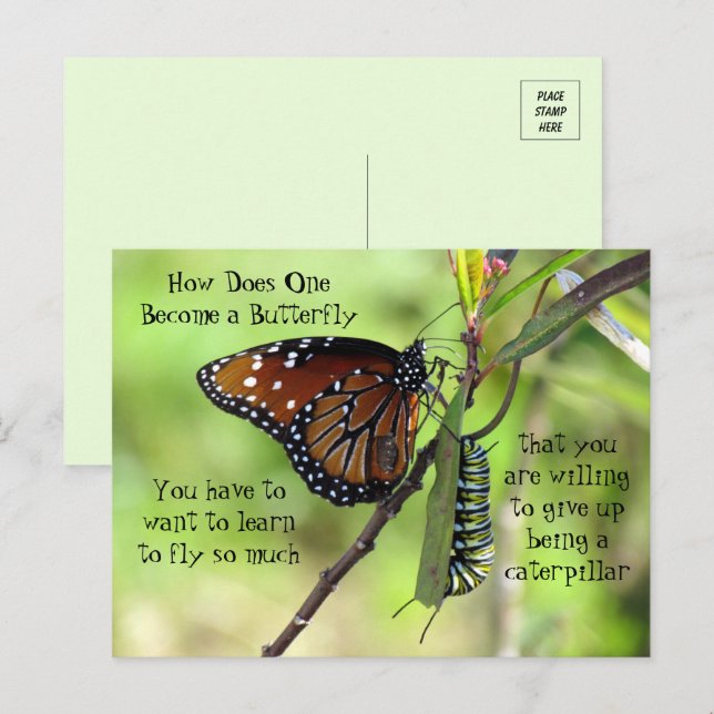 Monarch Butterfly & Catercolumn Quote Postcard Vykort (Fram/baksida)