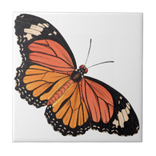 Monarch Butterfly Ceramic Tile Kakelplatta