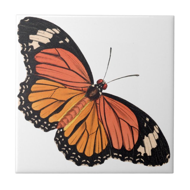 Monarch Butterfly Ceramic Tile Kakelplatta (Framsidan)