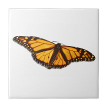 Monarch Butterfly Ceramic Tile