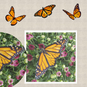 Monarch Butterfly Colorful Garden Blommigt Pappersservett