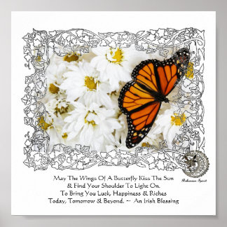 Monarch Butterfly & Daisys Poster