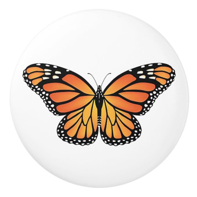 Monarch Butterfly drawer knobs Knopp (Framsidan)