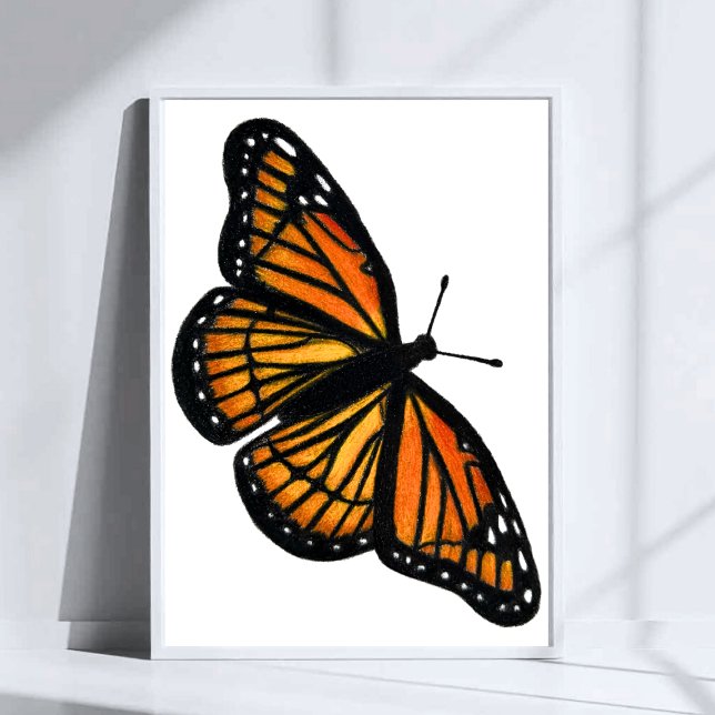 Monarch Butterfly Drawing Colored Pencil Art Poster (Skapare uppladdad)