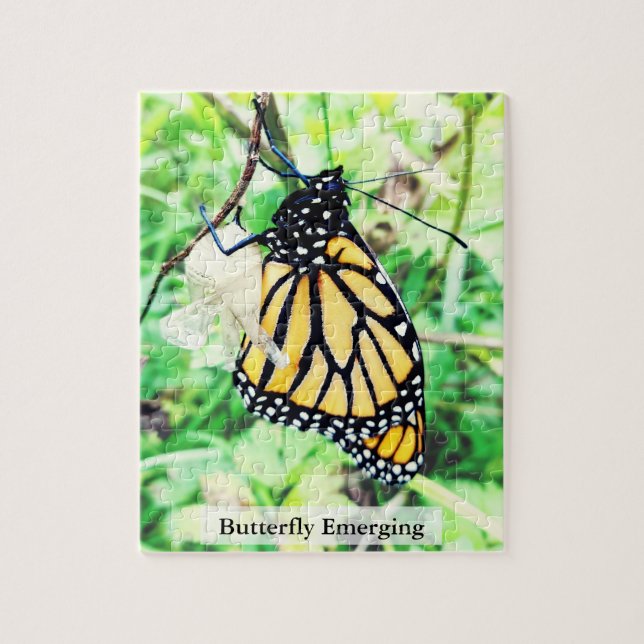 Monarch Butterfly Emerging 110st Pussel (Vertikal)