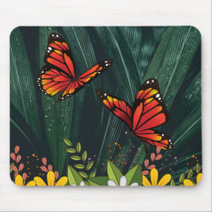 Monarch Butterfly Feb 6_21 Musmatta