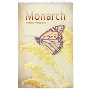 Monarch Butterfly Fine Art Nature Foton Kalender