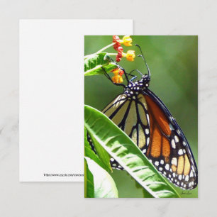 Monarch Butterfly Flat tackkort Tack Kort