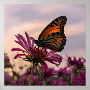 Monarch Butterfly Flower Poster