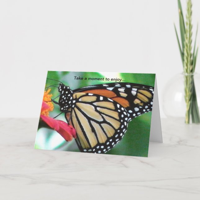 Monarch Butterfly för Nature Älskare Birthday Card Kort (Framsida)