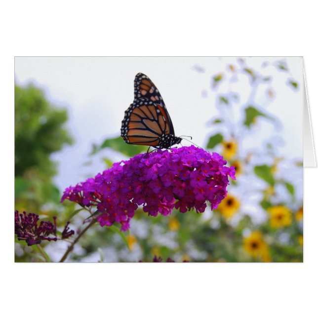 Monarch Butterfly från Butterfly Bush-kortet Hälsningskort (Framsidan Horizontal)