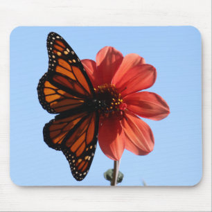 Monarch Butterfly från Dahlia Musmatta