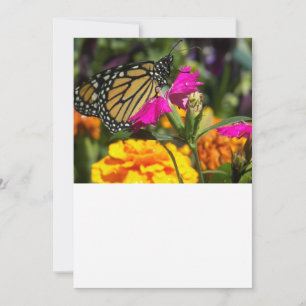 Monarch Butterfly från rosa Marigold Anteckningskort