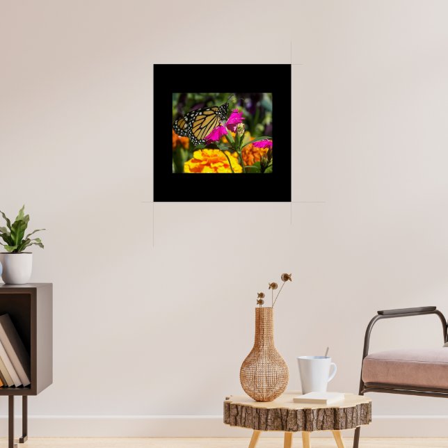 Monarch Butterfly från Rosa Marigold Flower Poster (Vardagsrum 3)