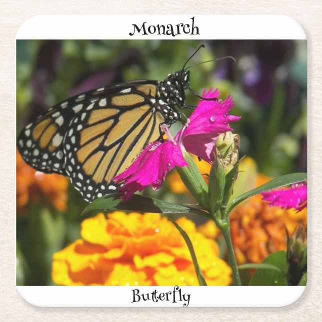 Monarch Butterfly från Rosa Marigold Flower Underlägg Papper Kvadrat (Framsidan)