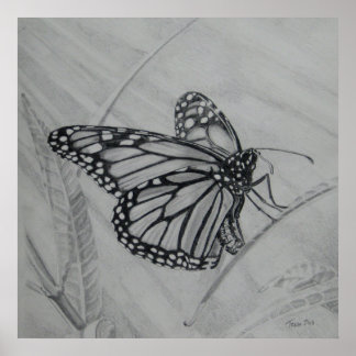 Monarch Butterfly graphite teckning Poster