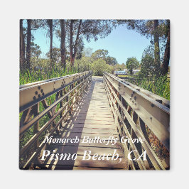 Monarch Butterfly Grove: Pismo Beach, CA Magnet