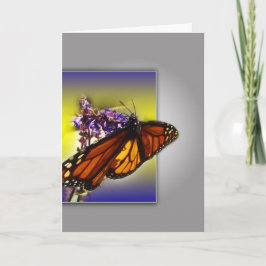 Monarch Butterfly Hälsning Kort