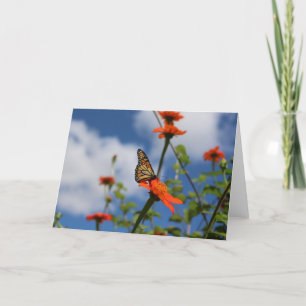Monarch Butterfly-hälsningskort Kort
