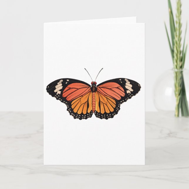 Monarch Butterfly-hälsningskort Kort (Framsida)