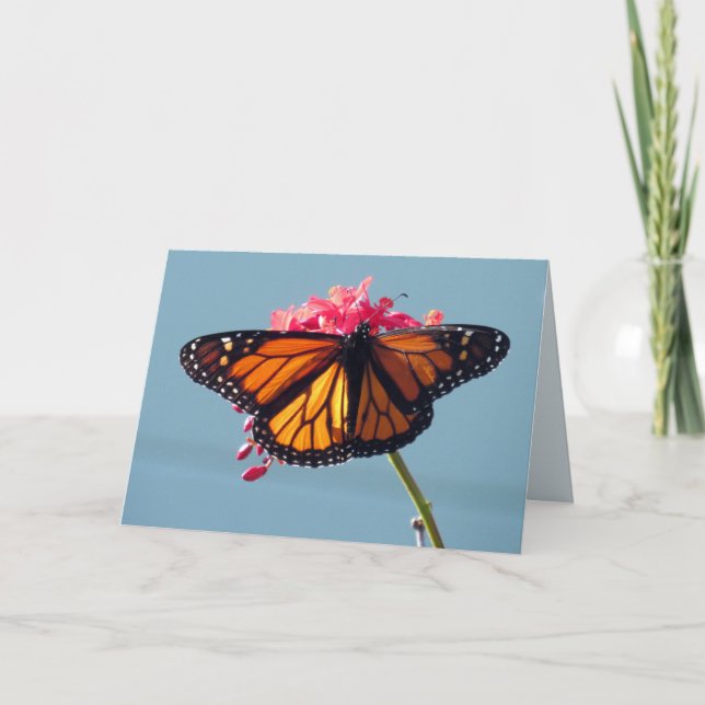 Monarch Butterfly-hälsningskort Kort (Framsida)