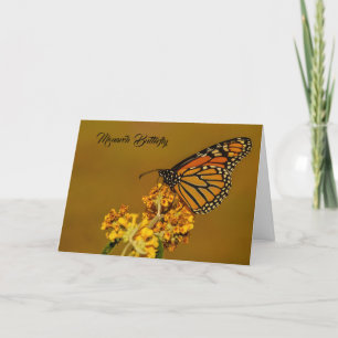 Monarch Butterfly-hälsningskort Tack Kort