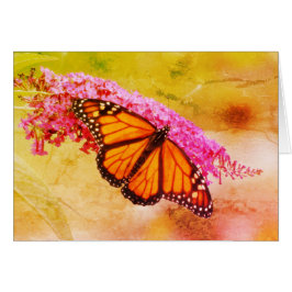 Monarch Butterfly i Buddleia Hälsningskort