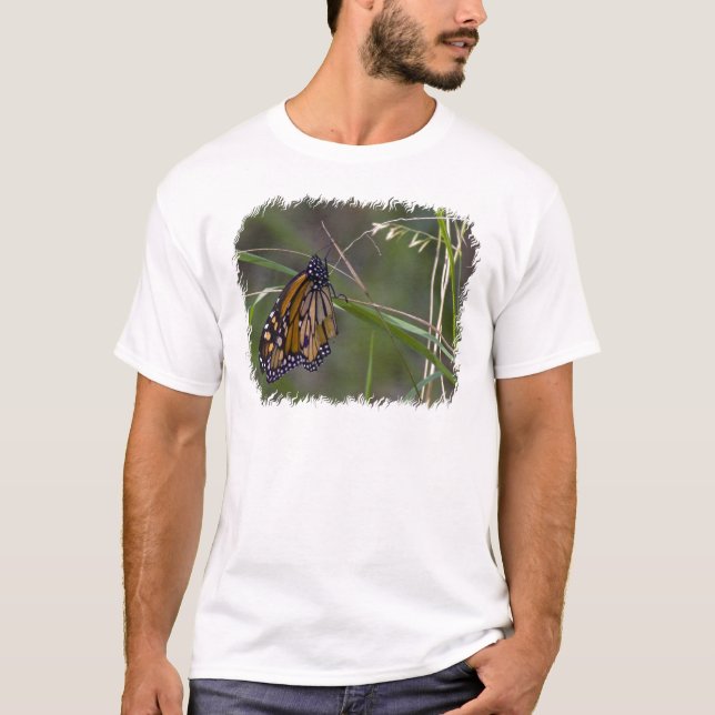 Monarch Butterfly i Grass T Shirt (Framsida)