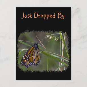 Monarch Butterfly i Grass Vykort