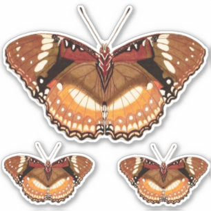 Monarch Butterfly in Brown, Rust and Cream Klistermärken