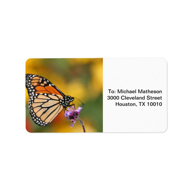 Monarch Butterfly in search of Pollen Adressetikett (Framsidan)