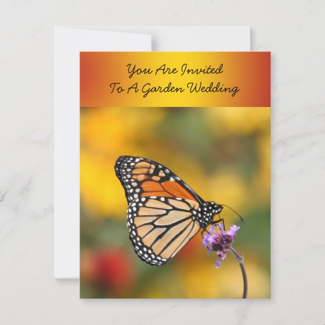 Monarch Butterfly in search of Pollen Inbjudningar (Framsida)