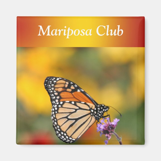 Monarch Butterfly in search of Pollen Magnet (Framsidan)