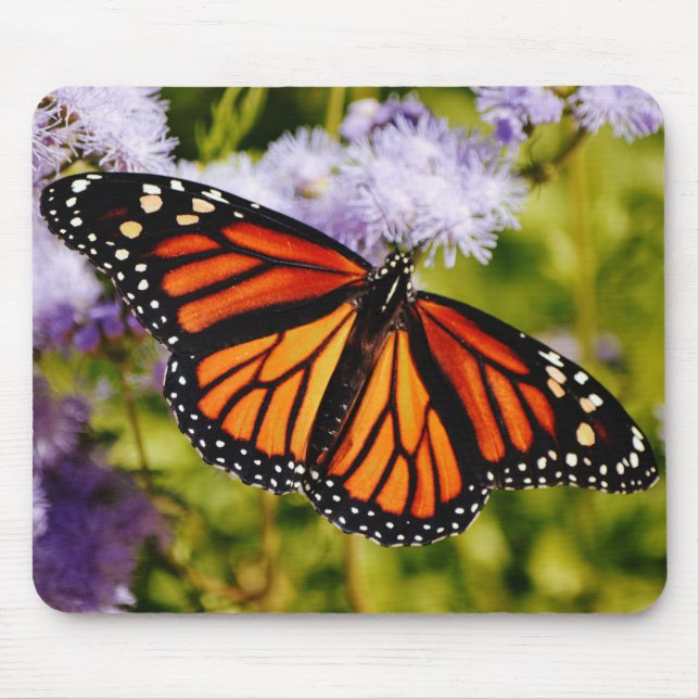 Monarch Butterfly Inside Vingar Mouse Pad Musmatta (Framsidan)