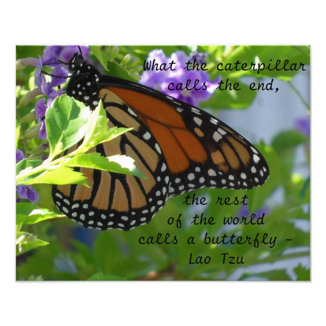 Monarch Butterfly-inspirationsoffert Poster (Framsidan)