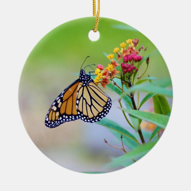 Monarch Butterfly jul Ornament (Framsidan)