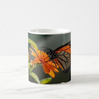 Monarch Butterfly Kaffemugg