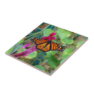 Monarch Butterfly Kakelplatta