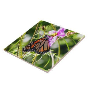 Monarch Butterfly Kakelplatta