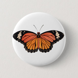 Monarch Butterfly Knapp