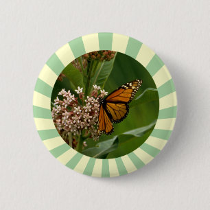 Monarch Butterfly Knapp