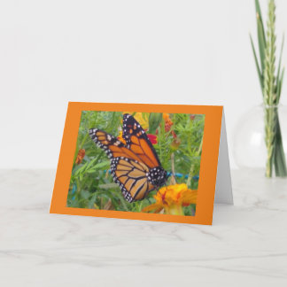 Monarch Butterfly Kort