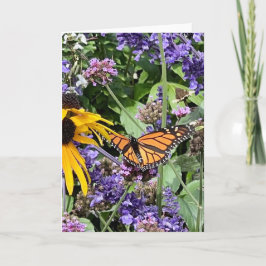 Monarch Butterfly Kort