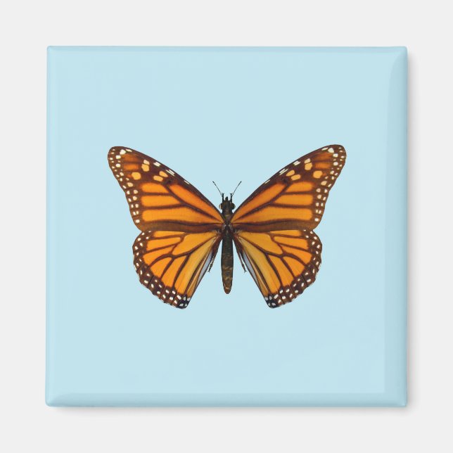 Monarch Butterfly Magnet (Framsidan)