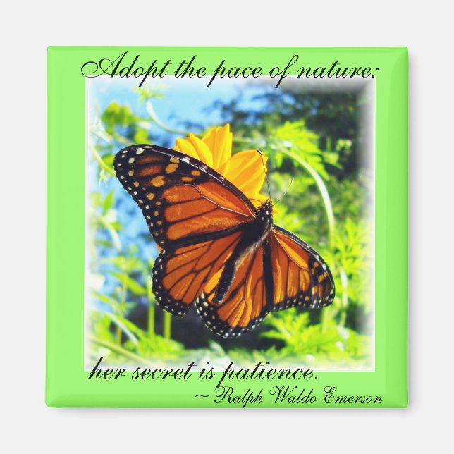 Monarch Butterfly Magnet (Framsidan)