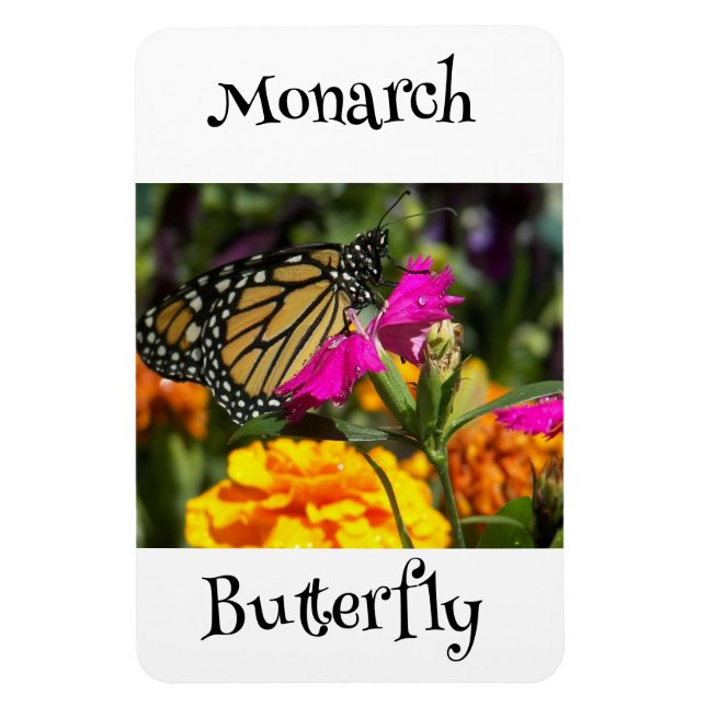 Monarch Butterfly Magnet (Vertikal)